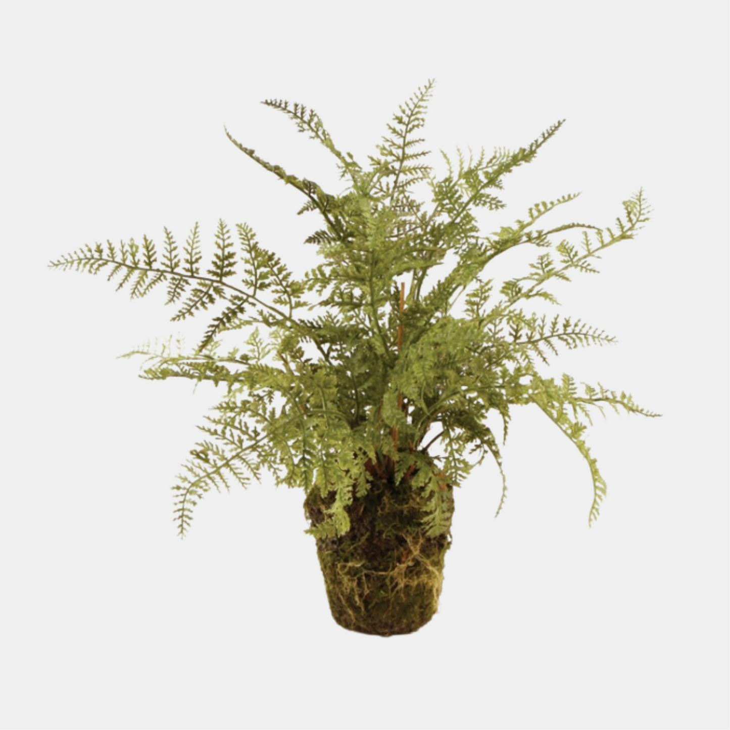 SOFT FERN 13"