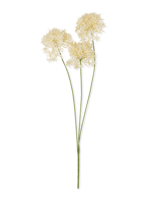 Faux Allium Cream Bunch
