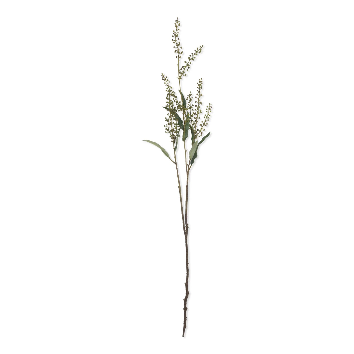 Myrtle Stems