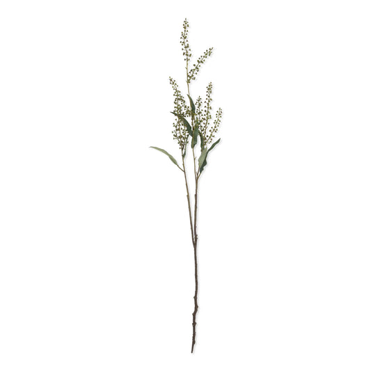 Myrtle Stems