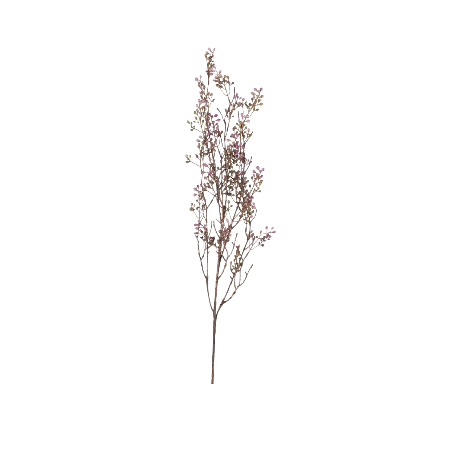 Lilac Berry Branch
