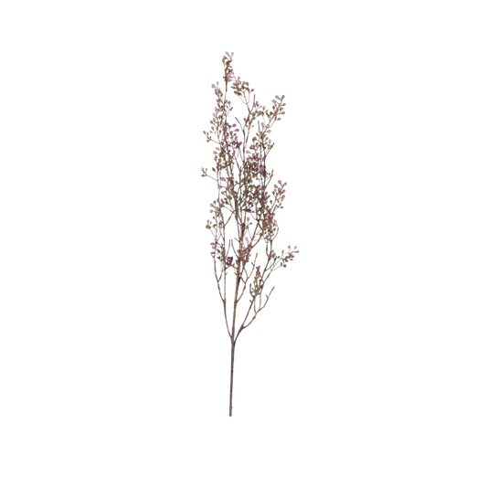 Lilac Berry Branch
