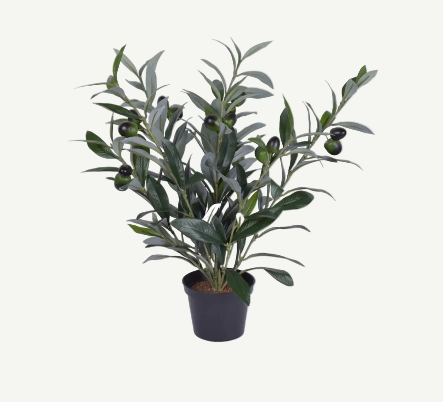 16" Potted Olive Plant
