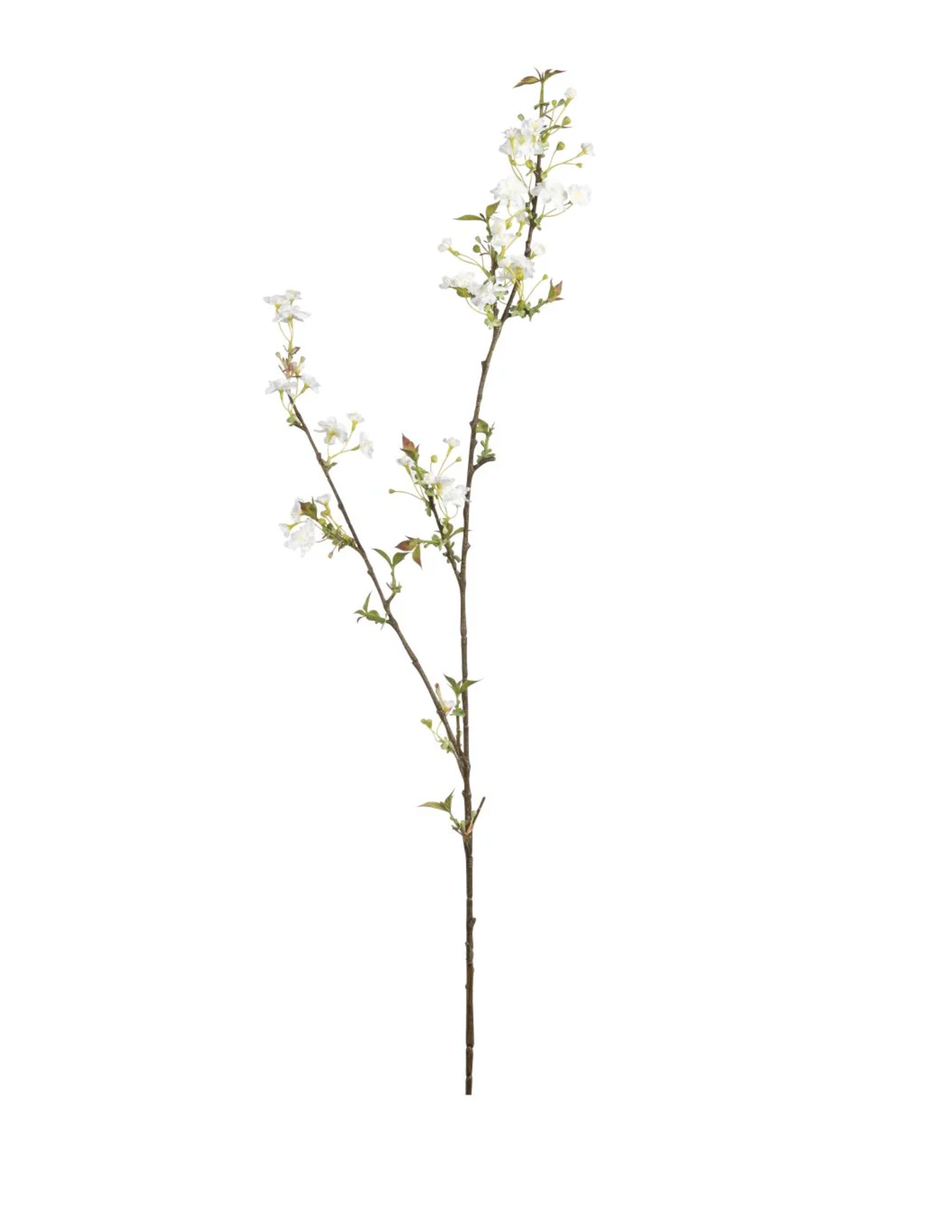51" White Cherry Blossom Stem