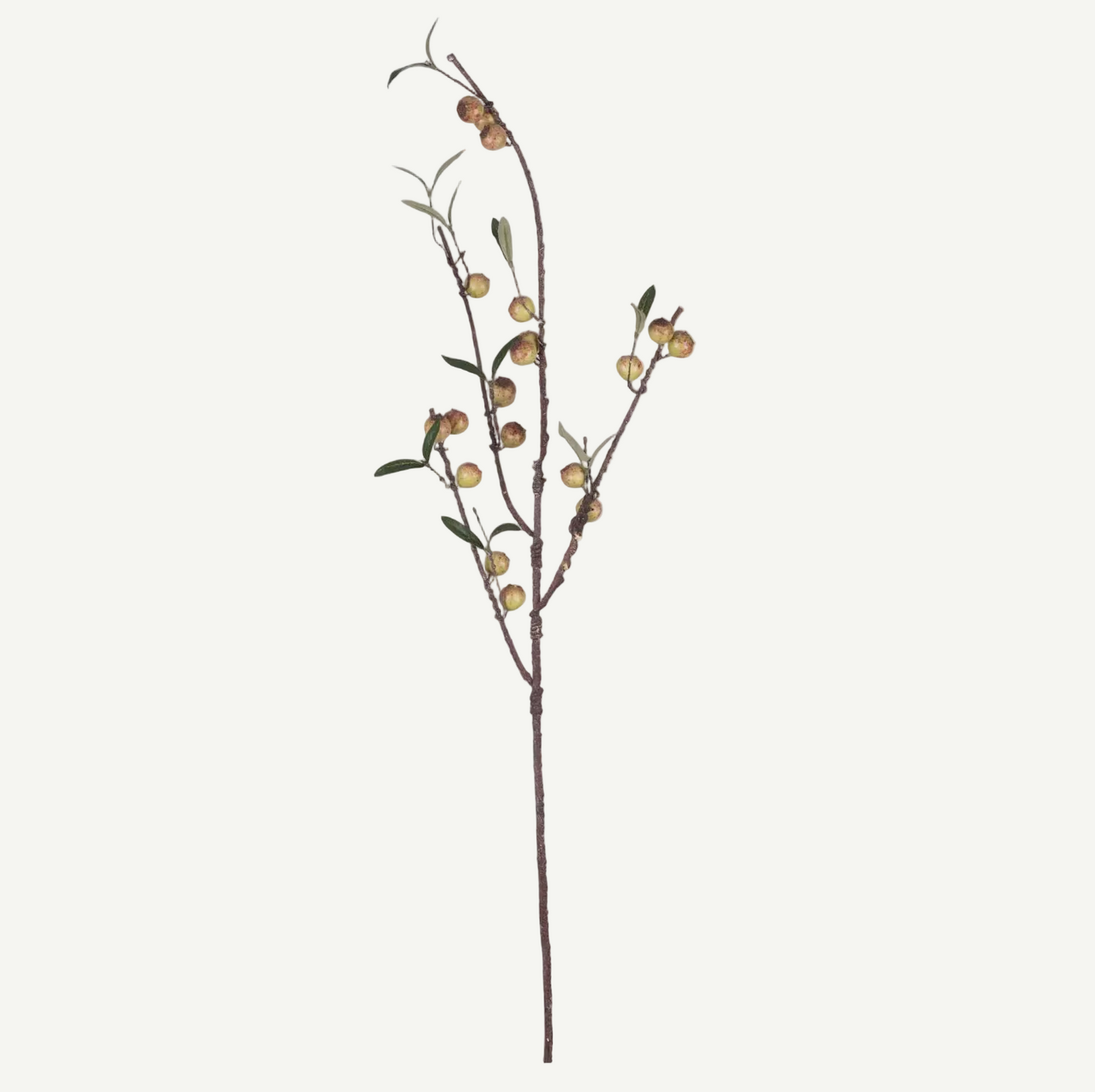 Rosehip Branch