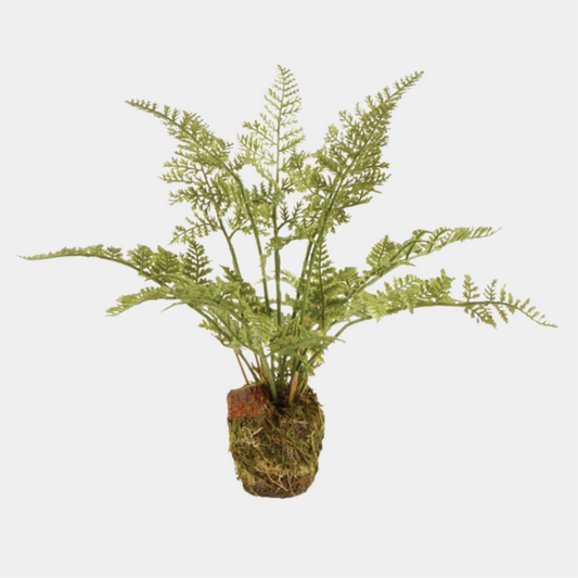 SOFT FERN 8.5"